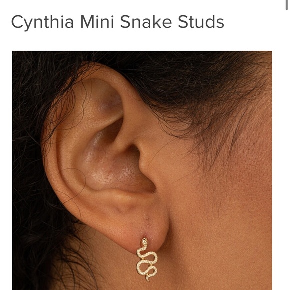 NWT Francesca’s Collection Cynthia Mini Snake Studs - Picture 2 of 6